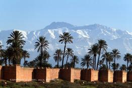 Image du Maroc Professionnelle de  Hormis les remparts de Marrakech qui sont construits entièrement en pisé selon une technique séculaire par l'Almoravide Ali Ben Youssef au début de XIIème siècle pour se protéger des attaques extérieures. La ville rouge dispose d’autres murailles qui protègent les parcs comme celle-ci qui clôturent les jardins de l'Agdal Ba Ahmed. Au fond la chaine de montagne du Haut Atlas enneigé surplombe la plaine du Haouz où de nombreux palmiers des jardins apportent à ce paysage un contraste très accentué, 3 Décembre 2012. (Photo / Abdeljalil Bounhar) 